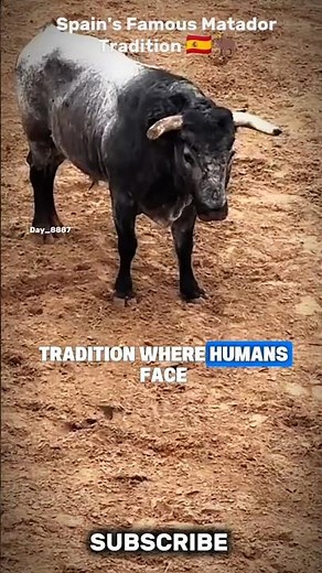 Spain's Famous Matador Tradition The Truth About Bullfighting! #shorts #Spain #Matador #Bullfighting