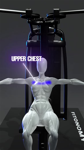 Home Workout App on Instagram: "Chest Fly Machine Tips for Full Chest Activation 💪 Download @fitonomyapp for guided workouts and 3D exercise demonstrations. Target every part of your chest the right way! Learn proper form on the Chest Fly Machine to hit upper, middle, and lower chest effectively. #chestworkout #chestflymachine #upperchest #lowerchest #fullchest #fitonomyapp #gymworkout #homegymworkout #strengthtraining #musclebuilding #properform #chestday #bodybuildingtips #fitnessshort