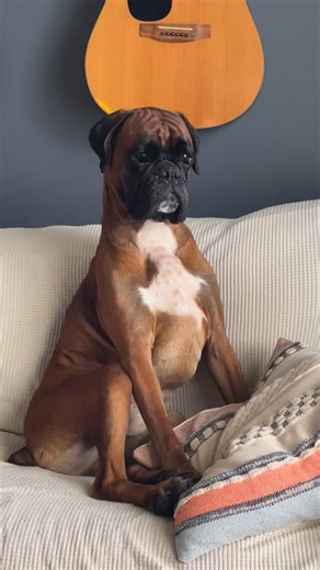 I guess barfing almost simultaneously this morning isn’t the only way these two are alike. | Emily Bishop