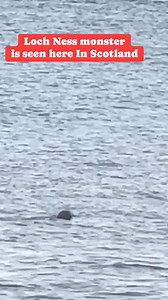 Lockness monster has been seen a few times already in 2025! #nessy | Project reveal - Ghosts of Britain