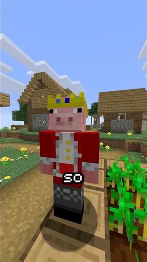 Gravity Explained in Minecraft ⛏️