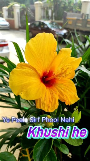 Nature is the Real Painter #flowers #motivation #art #shorts