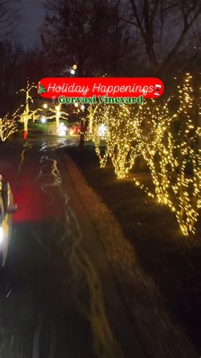 THE place to celebrate the holidays is Gervasi Vineyard🤩🥂 They put so much thought into creating a true Christmas wonderland of holiday happenings📆✨ 🧑‍🎄Stay in one of their enchanting Christmas suites 🎁Get your Christmas shopping done at @gv_marketplace 💚Festive holiday dining including cozy private dining rooms & brand-new Grinch-inspired décor 🕺Party down at the Winter White Lounge at The Still House until February 2nd. Special Ultra Lounge dates available on their website!🍸 @gervasid