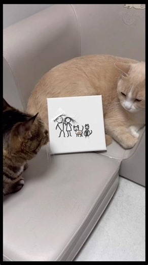 Cómo dibujar una familia paso a paso