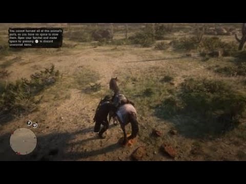 California Horned Owl Hanging Rock 7pm RDR2 Red Dead Redemption 2