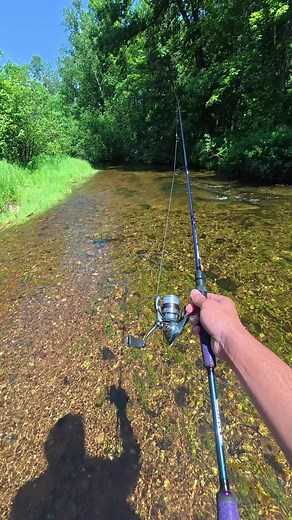 Pesca con IA: Inicia la aventura de atrapar peces