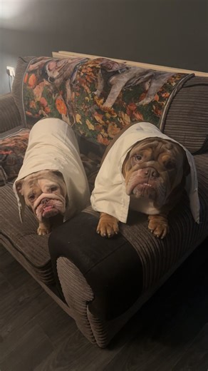 Preparing for the Lead Role in Sister Act Musical