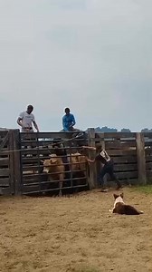 Rodeo Training MP Machine #rodeodr #RodeoCrowns #rodeoannouncer #RodeoDrive #RodeoAustin #Rodeorealty #rodeotimetuesday #rodeohouston #rodeoand5thlifestyle #rodeophotography #rodeoready #rodeos #rodeocrownswidebowl #rodeoand5th #rodeofun #rodeotime #RodeoShow #rodeohorse #rodeohs #rodeolife #rodeoqueen #rodeosport #rodeoh #rodeostyle #rodeotraviscott #rodeo | RODEO Channel