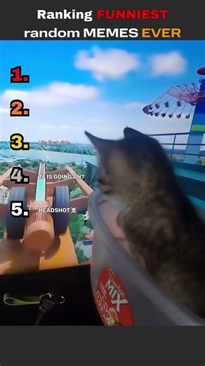 Ranking FUNNY MEMES