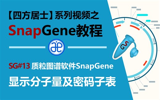 【四方居士】SG#13质粒图谱软件Snapgene显示分子量及密码子表