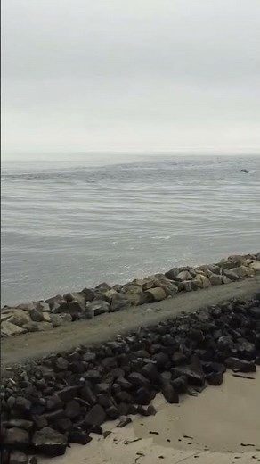 Barview Jetty #shorts