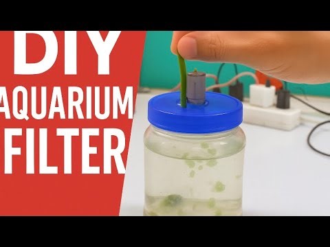Easy DIY Aquarium Filter at Home – Step-by-Step Tutorial!”