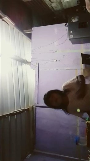 24 de febrero de 2026