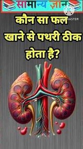 कौन सा फल खाने से पथरी ठीक होता है? #gkquestion #staticgk #gkfacts [ part-33 ]