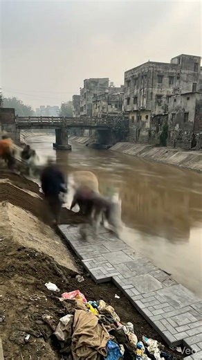 Incredible River Makeover & Restoration Timelapse