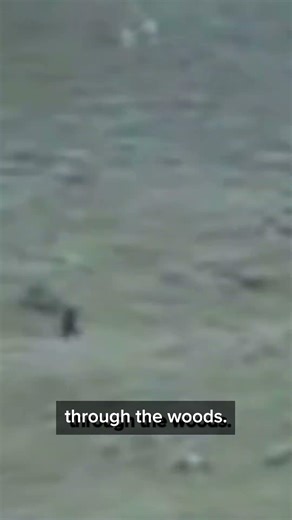 Memorial Day BIGFOOT! #bigfoot #bigfootshorts #paranormal #cryptids #viral #shorts