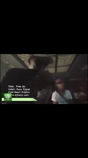 Cold Heart Riddim Mix: DJ Kalonje's Reggae Jam