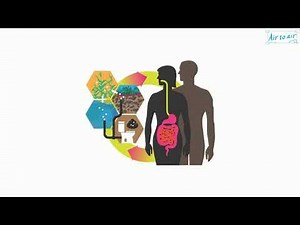 fecal-oral route (English) - Medical terminology for medical students -