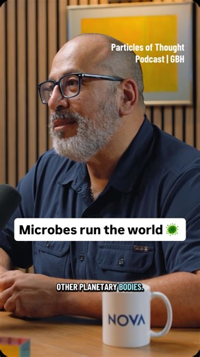 Sorry, Beyoncé. It’s a microbe’s world, and we’re just living in it. #microbes #microbiology #beyonce #scientist | NOVA l PBS