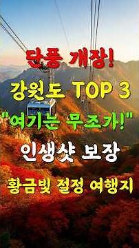 올해 단풍 놓치면 후회! 강원도 인생 단풍 TOP 3 (설악산, 홍천, 오대산). #여행, #가을여행, #강원도여행