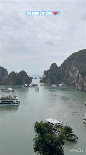 Unbelievable Views from Vietnam 😱🌊 | Ha Long Bay Adventure