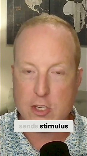 Economics Explained: Scarcity, Choices, and Real-World Examples