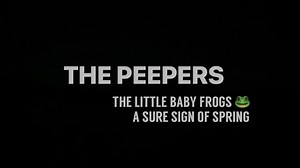 Have you heard… The Peepers? The little frogs are a sure sign of Spring. 🐸 Have you heard them yet? #peepers #SpringhasSprung #SpringisComing #ThePeeperFrogs #PeeperFrogs #KOAMnewsnow #INSTAjoplinnewsfirst | Joplin News First