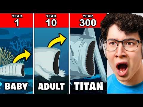 How OCEAN MONSTERS Might Have Lived (Animation)