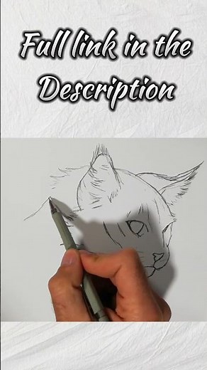 How to Draw a Cat Step by Step / Easy Drawing Tutorials / Shorts