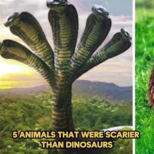21K views · 625 reactions | 5 Animals That Were Scarier Than Dinosaurs | Untold Facts | Facebook
