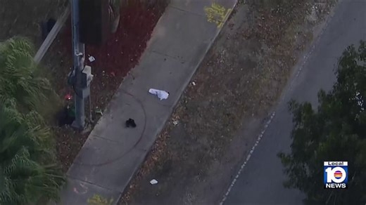 Police investigate shooting that left 15-year-old hurt in southwest Miami-Dade