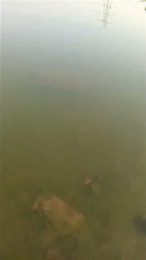 #song thahre hue pani me