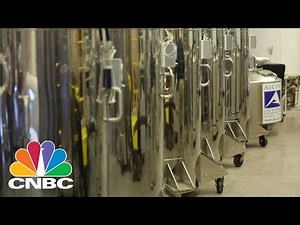 Alcor Freezes People For A Shot At Immortality | CNBC