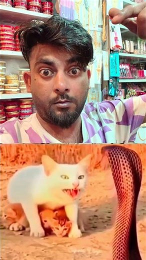 bhayankar billi #trending #duet #viralvideo #funny #shortvideo #shorts #trengdingpost #short #viral