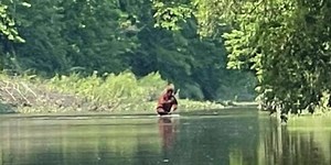 Startling footage claims to show Bigfoot carrying a baby across a river