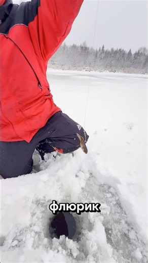 The easiest way to catch a predator #fishing #pike #tip-ups