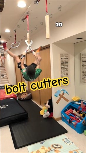resumé: familiar with bolt cutters 👨‍🔧