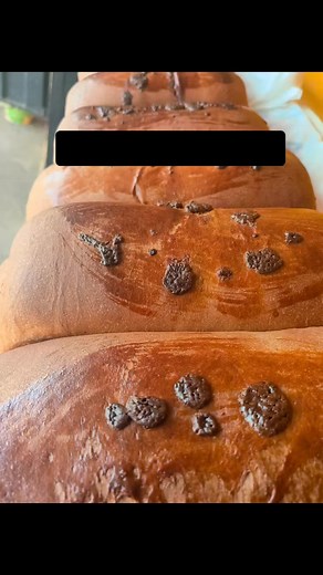 Komplete Kitchen and Bakery on TikTok