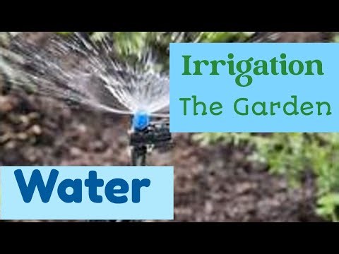 "Mastering Drip Irrigation: A Complete Guide for Gardeners!"