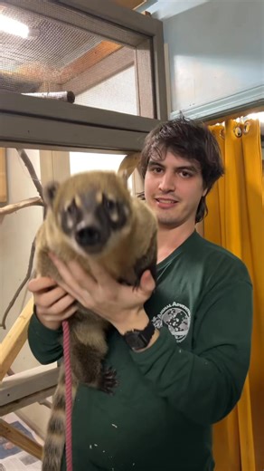 Some Coati facts with Jack! | Animal Adventures