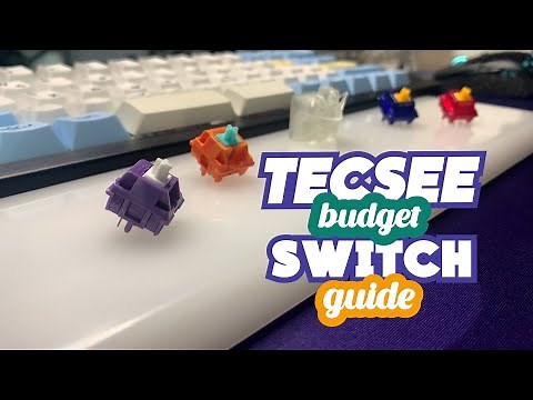 Tecsee Budget Switch Buying Guide | Ft. Purple Panda, Carrot, Ruby, and Sapphire Switches