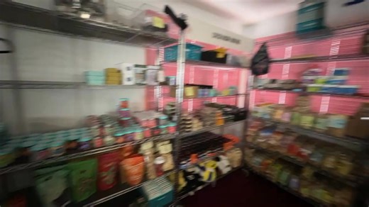 Sneak peak! Coming soon to APP! www.catchrachie.com Download Catch Rachie from APP store and it is also available on Google Play store! | Rachie Smania