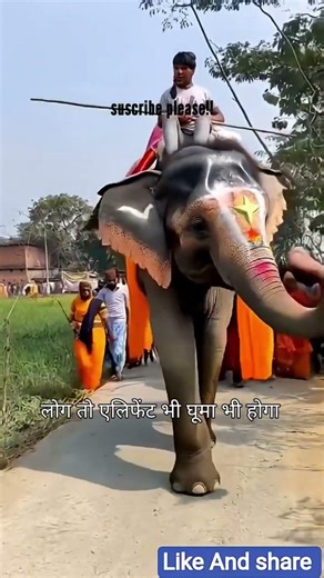 Elephant Types You Didn’t Know Exist 🐘 | African vs Asian #ytshorts #facts #wilddiscoveryhindi