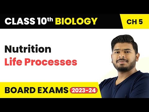 Nutrition - Life Processes | Class 10 Science Chapter 5