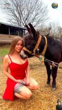 Animals Proving They Have Bigger Hearts Than Us: Part 2