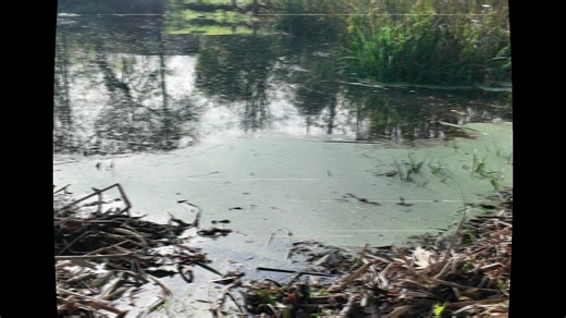 3.5K views · 36 reactions | It’s back and better than ever!  Say...