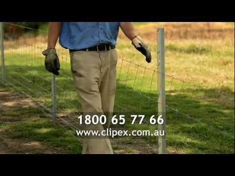 Clipex Fencing