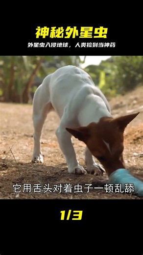 外星巨蟲入侵，人類撿到卻用來治病 #外星虫，入侵地球，救命神药，虫虫欲动，科幻电影