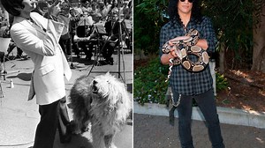 11 Pets That Influenced Rock and Pop