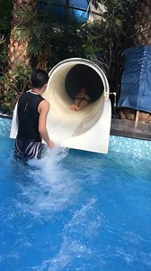 20K views · 111 reactions | Sliding into summer like ☀️ #funslide #waterworld #waterpark | Genius Hub | Facebook